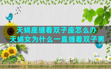 天蝎座缠着双子座怎么办 天蝎女为什么一直缠着双子男
